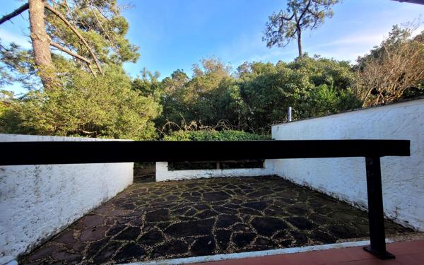 Maison à vendre    3 pièces • 40 m2 Seignosse