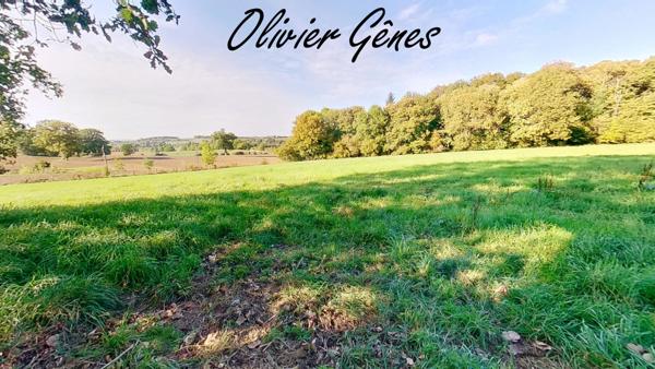 Aigne (72650) A 10 mns Le Mans Nord - Ancienne ferme à rénover d'envion 90 m² avec 1.8 hectares de terrain entouré de natu