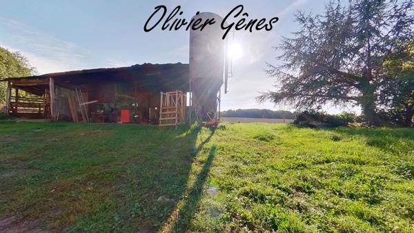 Aigne (72650) A 10 mns Le Mans Nord - Ancienne ferme à rénover d'envion 90 m² avec 1.8 hectares de terrain entouré de natu