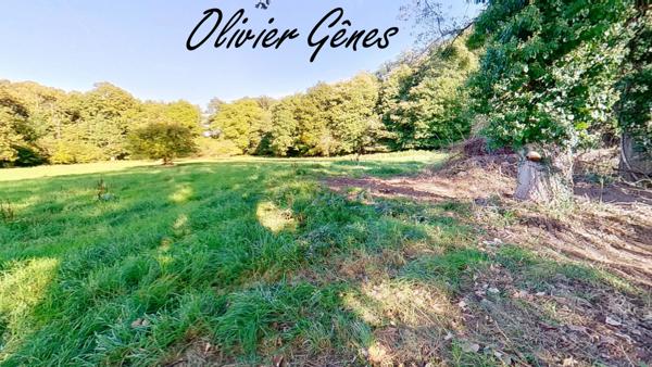 Aigne (72650) A 10 mns Le Mans Nord - Ancienne ferme à rénover d'envion 90 m² avec 1.8 hectares de terrain entouré de natu