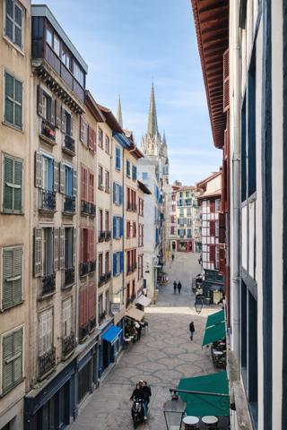 Bayonne (64100) Appartement en viager occupé
