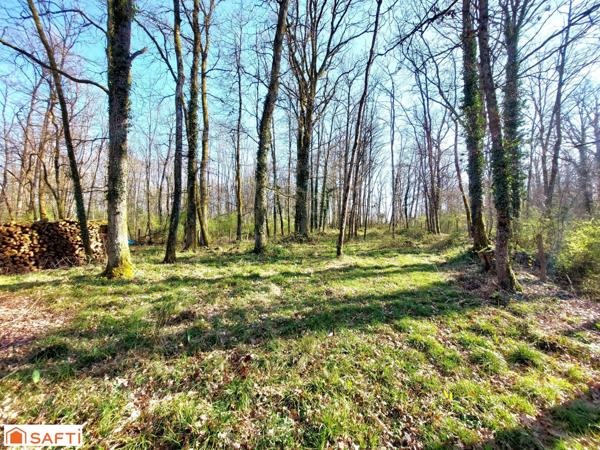 Maison isolée avec 5 chambres et grand terrain.
