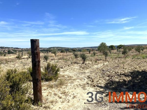 Vente / Terrain agricole