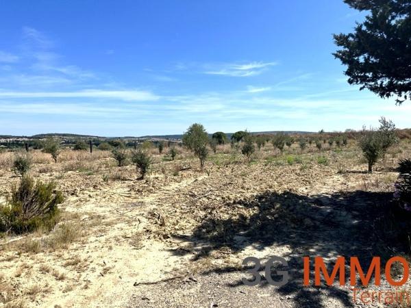 Vente / Terrain agricole