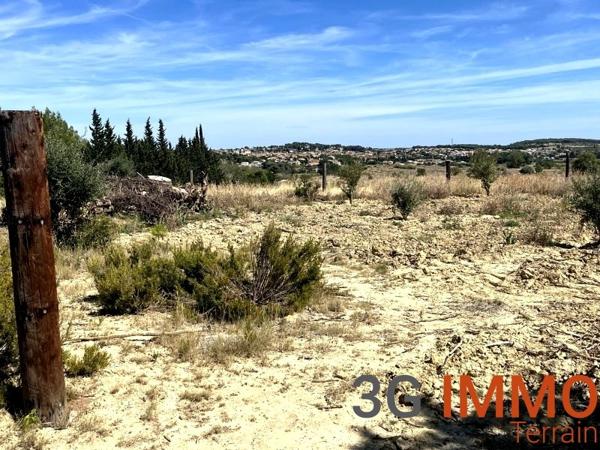 Vente / Terrain agricole