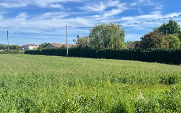 Terrain à vendre |  Verdun-sur-Garonne |  560 m²