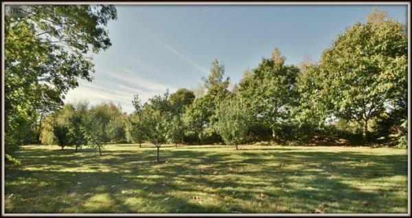 Maison à vendre à Le Rheu en Ille-et-Vilaine (35650), ref : 35060-123