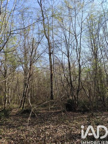 Terrain à vendre 33 330 m² Sury-près-Léré