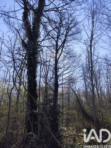 Terrain à vendre 33 330 m² Sury-près-Léré