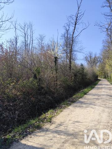 Terrain à vendre 33 330 m² Sury-près-Léré