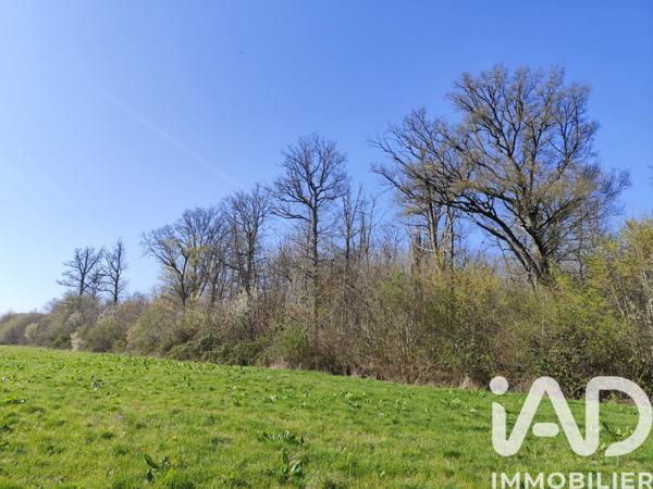 Terrain à vendre 33 330 m² Sury-près-Léré