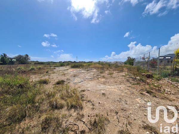 Terrain à vendre 1 213 m² Petit-Canal