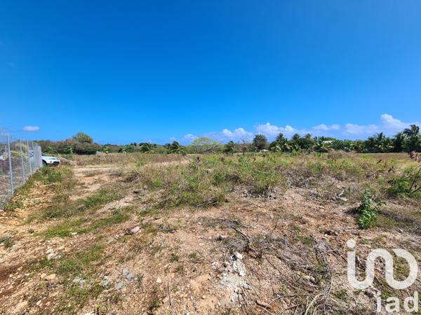 Terrain à vendre 1 213 m² Petit-Canal