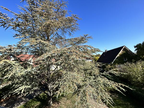Terrain
                                                                                                                                                                                                                                                                                                                        7 pièce(s)                                                                                                                                                                                                          4 chambre(s)                                                                                                                                                                                                          205  m²