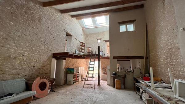 Maison Jaunay Marigny 11 pièce(s) 230 m2