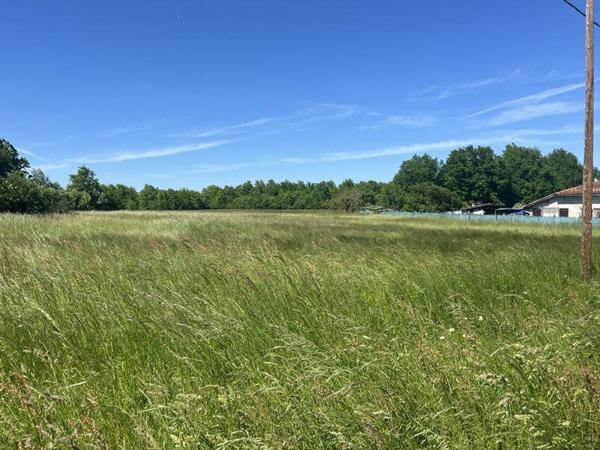 Terrain à vendre |  Meauzac |  1400 m²
