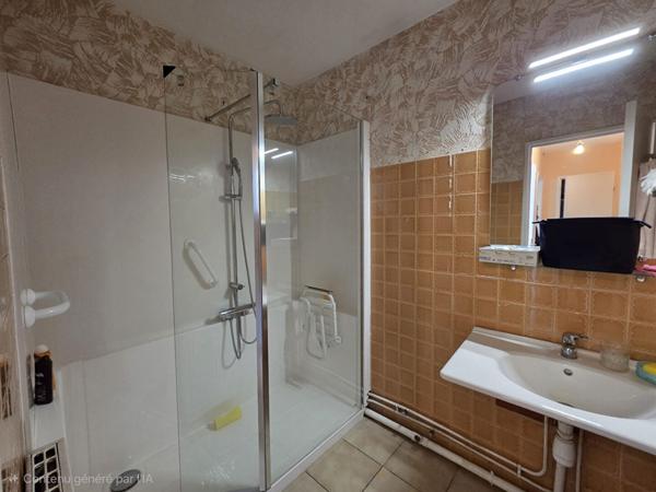 Appartement 4 pièces à vendre à Lyon - SEecteur Santy