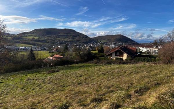 Terrain à vendre    Villy-le-Pelloux