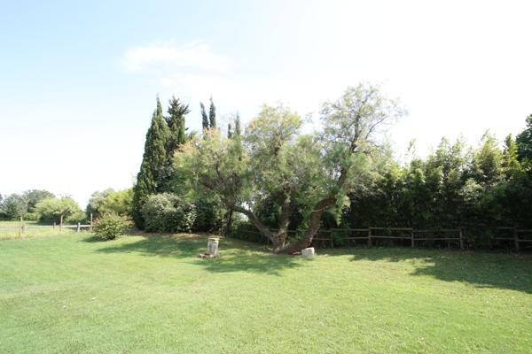 Saintes maries de la mer (13460) SPLENDIDE MAS 600 M2 HAB, SUR 5HA, PISCINE 20/4, BOX CHEVAUX ...