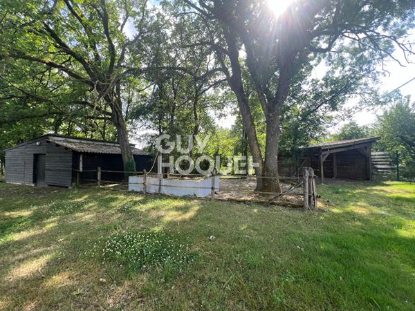 35 MIN FONTAINEBLEAU