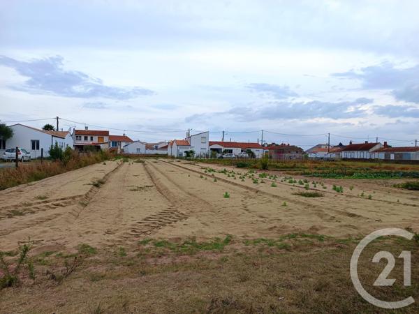 Terrain à vendre  1309 m2 LA TRANCHE SUR MER - 85