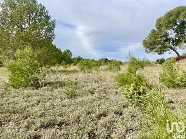 Terrain à vendre 399 m² Lézignan-Corbières