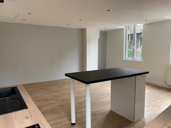Appartement à louer à Vienne (38200)