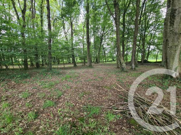 Terrain à vendre  27800 m 2   COMBOURG  - 35