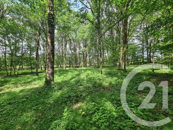 Terrain à vendre  27800 m 2   COMBOURG  - 35