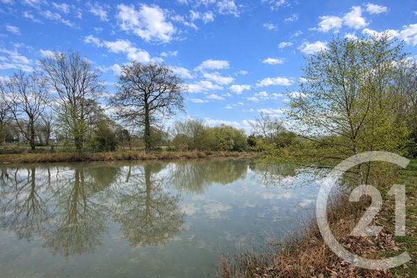 Terrain à vendre  27800 m 2   COMBOURG  - 35