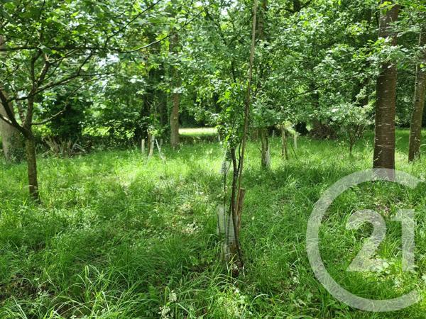 Terrain à vendre  27800 m 2   COMBOURG  - 35