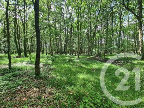 Terrain à vendre  27800 m 2   COMBOURG  - 35