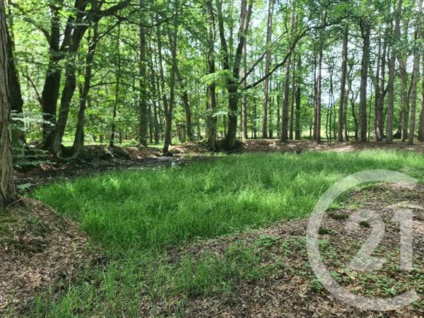 Terrain à vendre  27800 m 2   COMBOURG  - 35
