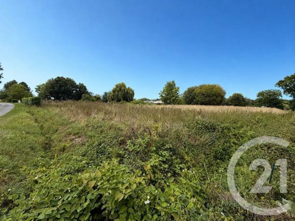 Terrain à vendre  27800 m 2   COMBOURG  - 35