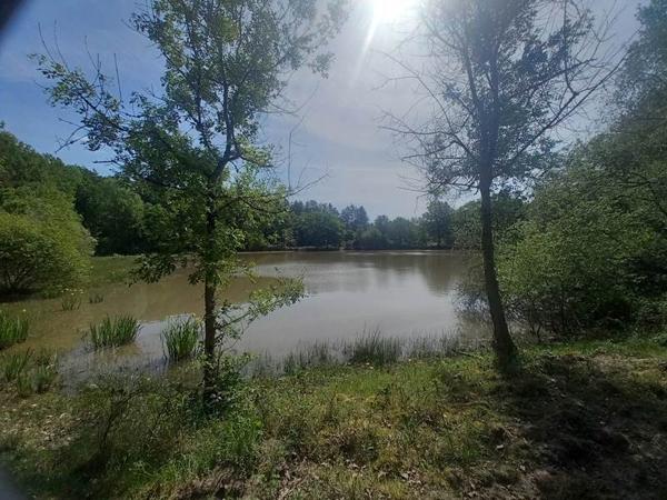 Terrain à vendre 91 800 € Langon 20333 m² DPE