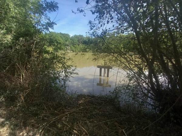 Terrain à vendre 91 800 € Langon 20333 m² DPE