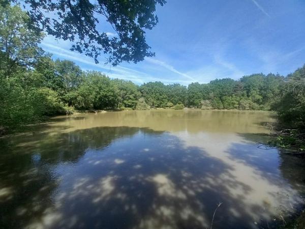 Terrain à vendre 91 800 € Langon 20333 m² DPE