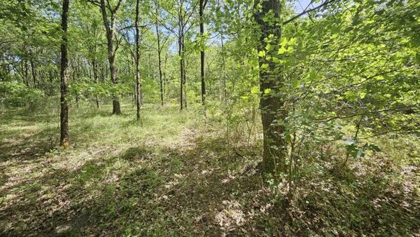 Terrain à vendre 91 800 € Langon 20333 m² DPE