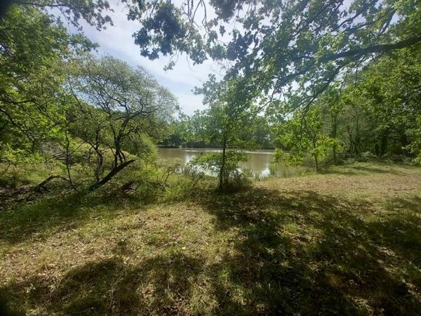 Terrain à vendre 91 800 € Langon 20333 m² DPE