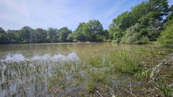 Terrain à vendre 91 800 € Langon 20333 m² DPE