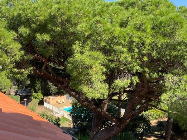 Appartement T1 à vendre à La Londe-les-Maures avec vue mer - Idéal investisseur