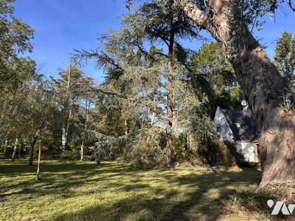 A VENDRE CARNAC Nord, dans lotissement résidentiel, maison années 70, terrain en Na 6460 m²