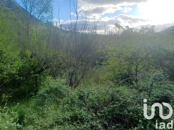 Terrain à vendre 590 m² Bédarieux