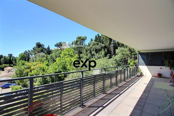 T4 VUE VENTOUX & TERRASSE XXL