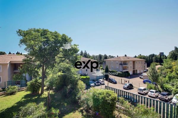 T4 VUE VENTOUX & TERRASSE XXL
