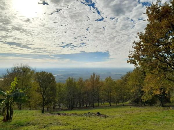 Terrain constructible