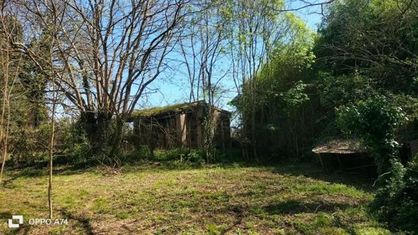 Ancienne propriété viticole du 19 eme siècle près du Tarn et d'un ruisseau.