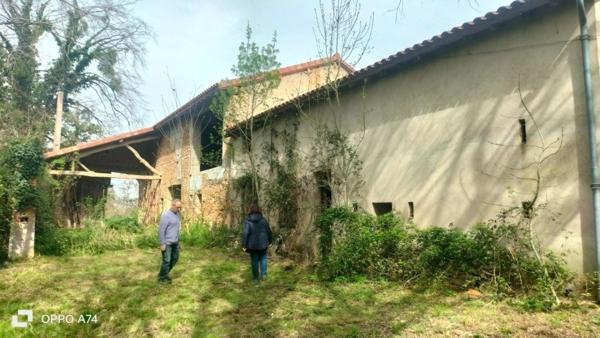 Ancienne propriété viticole du 19 eme siècle près du Tarn et d'un ruisseau.