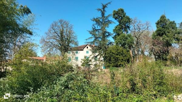Ancienne propriété viticole du 19 eme siècle près du Tarn et d'un ruisseau.
