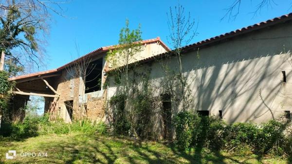 Ancienne propriété viticole du 19 eme siècle près du Tarn et d'un ruisseau.